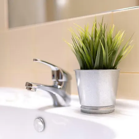 Casa Dos Cortes Sever do Vouga