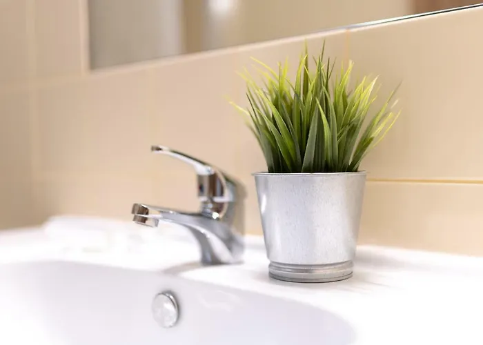 Casa Dos Cortes Sever do Vouga